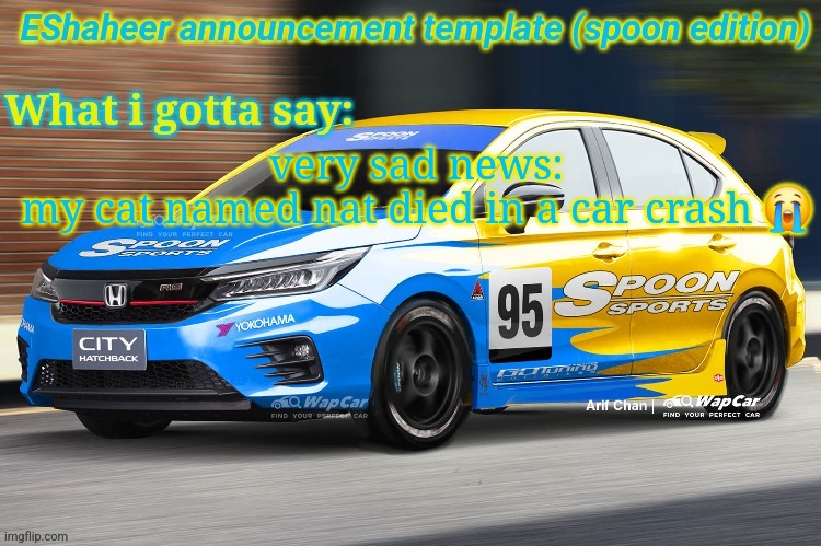 rip Nat the cat T.T D: | very sad news:
my cat named nat died in a car crash 😭 | image tagged in eshaheer announcement temp spoon ed | made w/ Imgflip meme maker