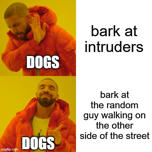 free epic Sahawiq | bark at intruders; DOGS; bark at the random guy walking on the other side of the street; DOGS | image tagged in memes,drake hotline bling | made w/ Imgflip meme maker