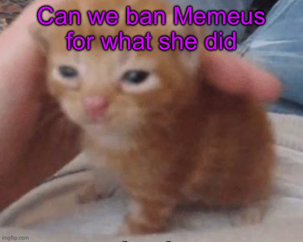 Herbert | Can we ban Memeus for what she did | image tagged in herbert | made w/ Imgflip meme maker