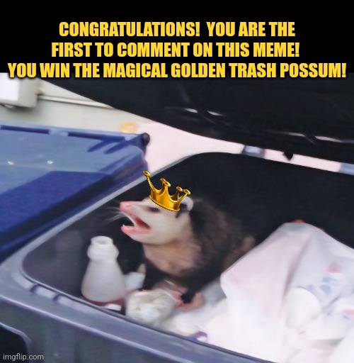 CONGRATULATIONS!  YOU ARE THE FIRST TO COMMENT ON THIS MEME!  YOU WIN THE MAGICAL GOLDEN TRASH POSSUM! | made w/ Imgflip meme maker