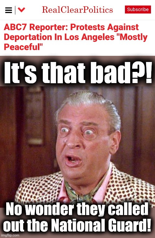 You know what "mostly peaceful" means! | It's that bad?! No wonder they called
out the National Guard! | image tagged in rodney dangerfield shocked,memes,mostly peaceful,arson,riots,democrats | made w/ Imgflip meme maker