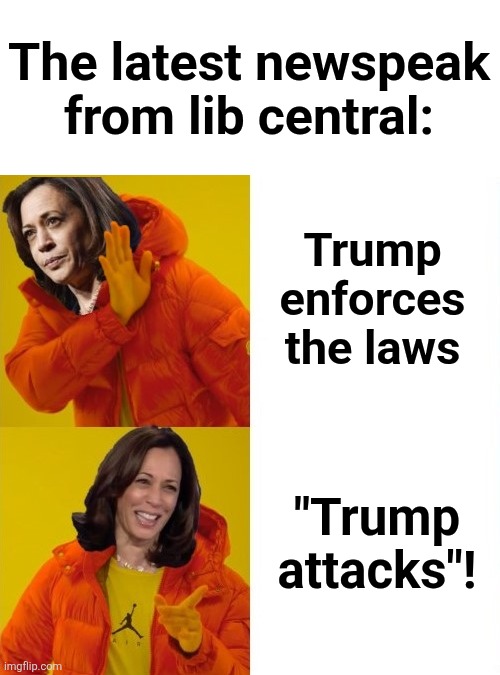It's 1984 in Los Angeles | The latest newspeak
from lib central:; Trump
enforces
the laws; "Trump
attacks"! | image tagged in kamala harris hotline bling,los angeles,riots,trump derangement syndrome,newspeak,democrats | made w/ Imgflip meme maker