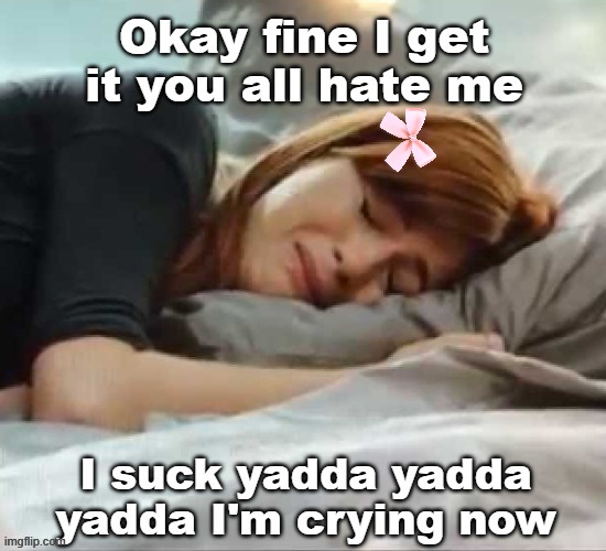 [mod edit] (I'm crying now) | made w/ Imgflip meme maker