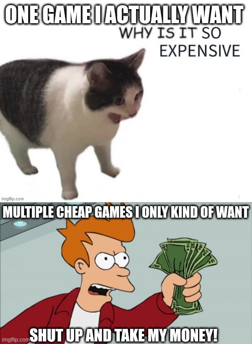 One Game I Actually Want... Why Is It So Expensive! Multiple Cheap Games I Only Kind Of Want... Shut Up And Take My Money! | ONE GAME I ACTUALLY WANT; MULTIPLE CHEAP GAMES I ONLY KIND OF WANT; SHUT UP AND TAKE MY MONEY! | image tagged in why is it so expensive,memes,shut up and take my money fry,gaming,video games,prices | made w/ Imgflip meme maker