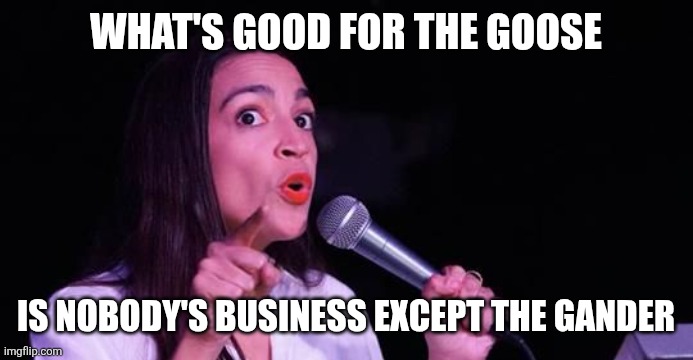 Goose and Gander | WHAT'S GOOD FOR THE GOOSE; IS NOBODY'S BUSINESS EXCEPT THE GANDER | image tagged in alexandria ocasio-cortez,funny memes | made w/ Imgflip meme maker