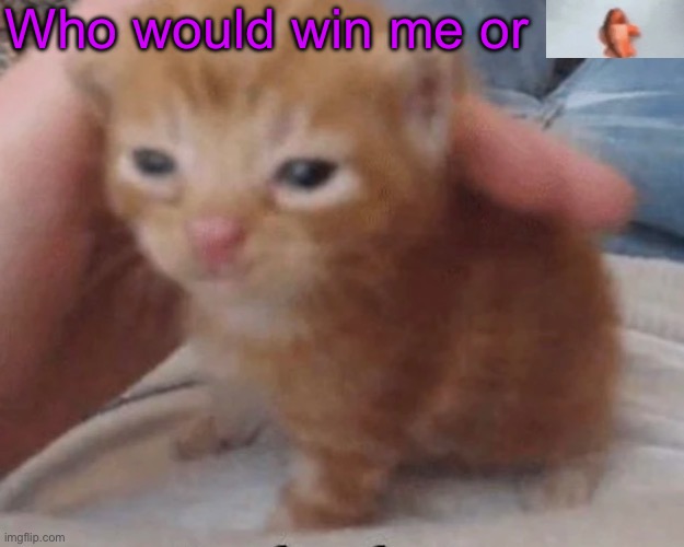 Herbert | Who would win me or | image tagged in herbert | made w/ Imgflip meme maker