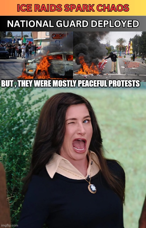 la riots meme | BUT , THEY WERE MOSTLY PEACEFUL PROTESTS | image tagged in riots | made w/ Imgflip meme maker