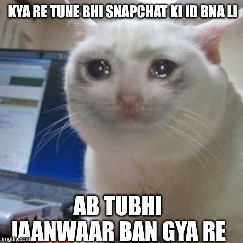 Crying cat | KYA RE TUNE BHI SNAPCHAT KI ID BNA LI; AB TUBHI JAANWAAR BAN GYA RE | image tagged in crying cat | made w/ Imgflip meme maker