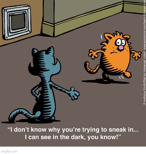 Trying to sneak in… | image tagged in cats,comics/cartoons,sneaking in,see in the dark | made w/ Imgflip meme maker