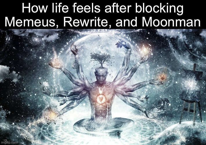 Real | How life feels after blocking Memeus, Rewrite, and Moonman | image tagged in ascendant human | made w/ Imgflip meme maker