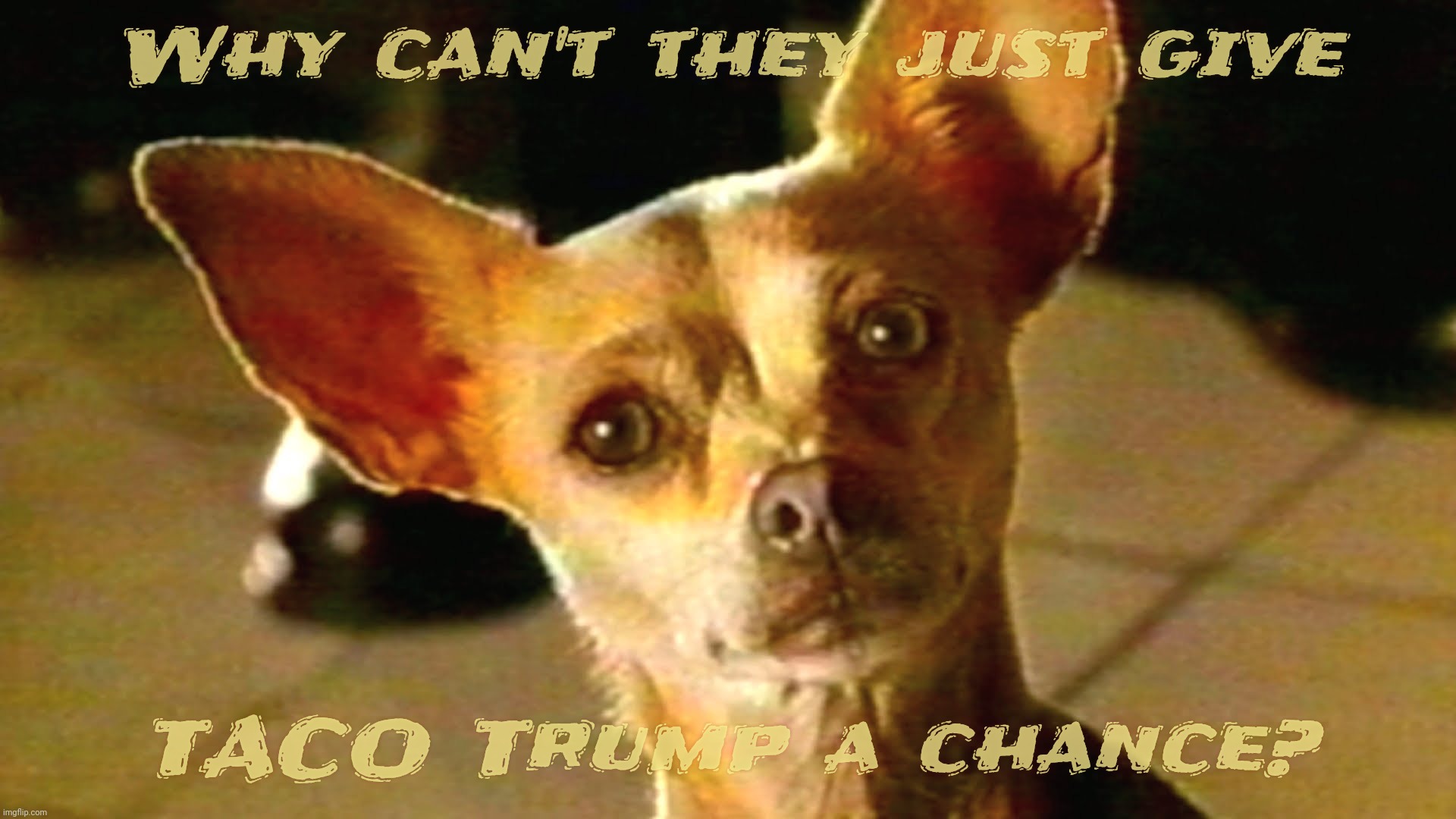 TACO Trump just wants a chance to prove he's worthy of being T.A.C.O. | Why can't they just give; TACO Trump a chance? | image tagged in taco bell chihuahua,taco,taco trump,trump taco,poor taco,so sad | made w/ Imgflip meme maker