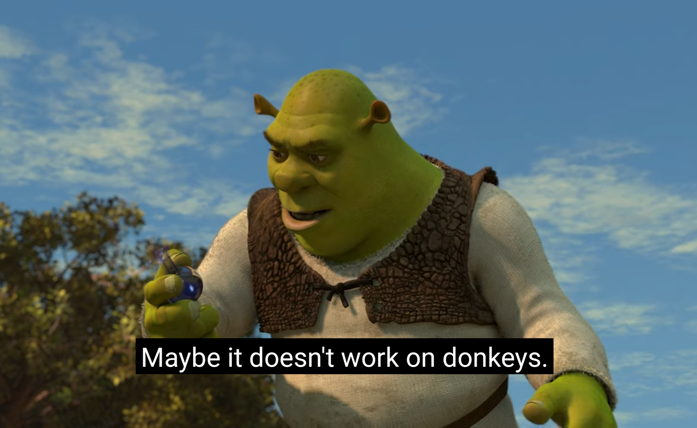 Shrek maybe it doesn't work on donkeys Blank Meme Template