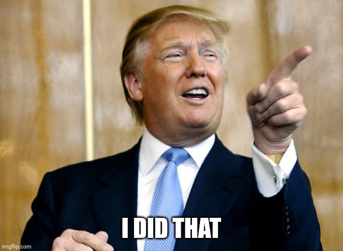 Donald Trump Pointing | I DID THAT | image tagged in donald trump pointing | made w/ Imgflip meme maker