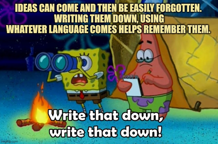 Writing down ideas prevents forgetting them | IDEAS CAN COME AND THEN BE EASILY FORGOTTEN. 
WRITING THEM DOWN, USING WHATEVER LANGUAGE COMES HELPS REMEMBER THEM. | image tagged in write that down,remember | made w/ Imgflip meme maker