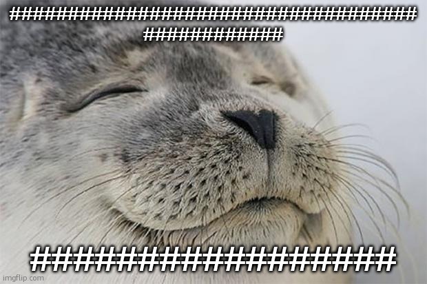 Satisfied Seal | ################################### ############; ################# | image tagged in memes,satisfied seal | made w/ Imgflip meme maker