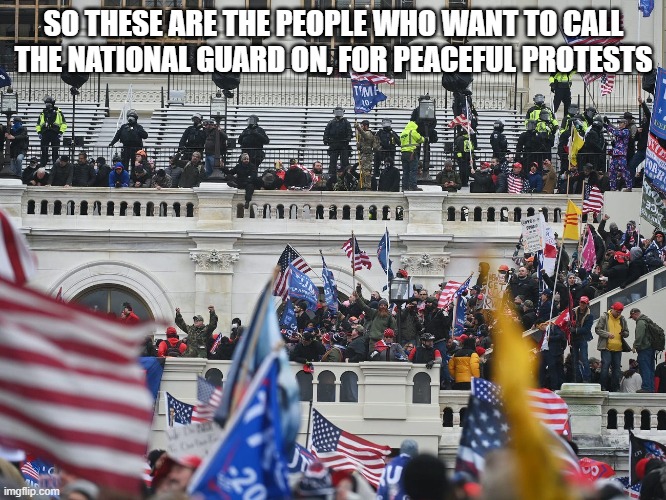 Quick question, were any of you guys at the Jan 6 riots? | SO THESE ARE THE PEOPLE WHO WANT TO CALL THE NATIONAL GUARD ON, FOR PEACEFUL PROTESTS | image tagged in insurrection jan 6th 2021 | made w/ Imgflip meme maker