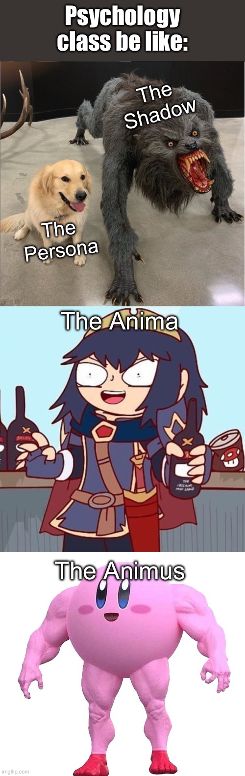 Only the distinguished will understand | Psychology class be like:; The Shadow; The Persona; The Anima; The Animus | image tagged in two dog meme,lucina drunk,buff kirby,psychology,jung,funny | made w/ Imgflip meme maker