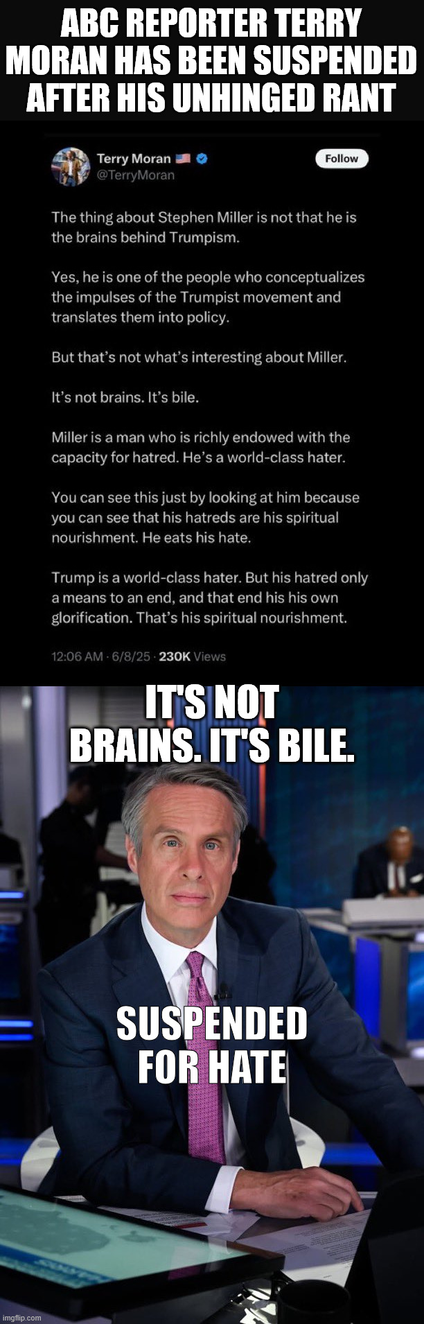 They'll always accuse you of what they are... | ABC REPORTER TERRY MORAN HAS BEEN SUSPENDED AFTER HIS UNHINGED RANT; IT'S NOT BRAINS. IT'S BILE. SUSPENDED FOR HATE | image tagged in abc,hate,suspended | made w/ Imgflip meme maker