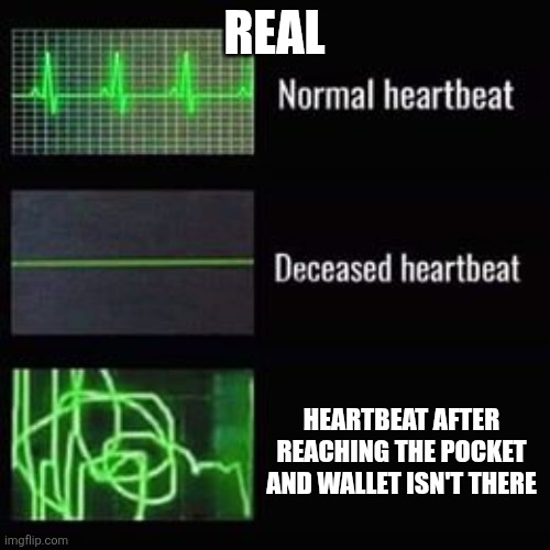 heartbeat rate | REAL; HEARTBEAT AFTER REACHING THE POCKET AND WALLET ISN'T THERE | image tagged in heartbeat rate | made w/ Imgflip meme maker