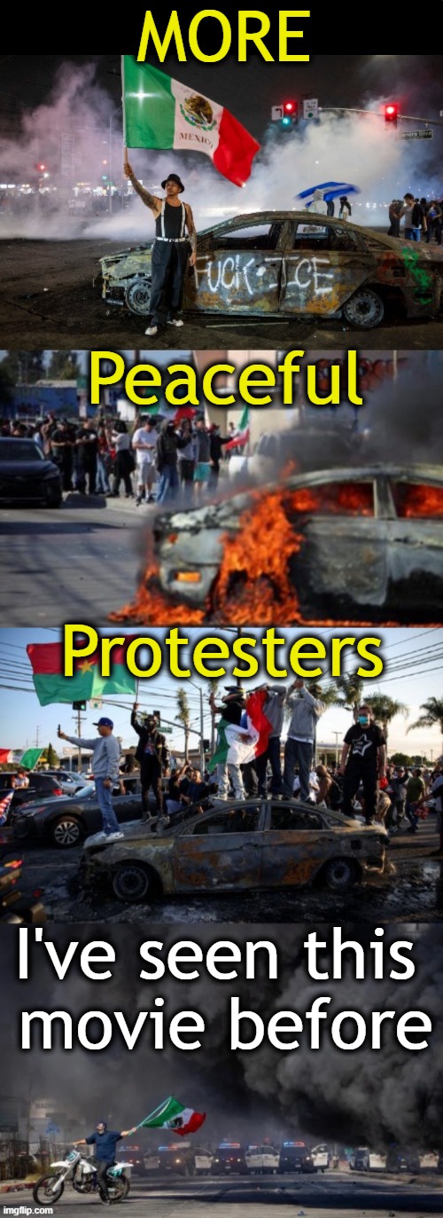 L. A. Liberalism is Mostly a Mental Disorder | MORE; Peaceful; Protesters; I've seen this 
movie before | image tagged in los angeles,protesters,mostly peaceful protests,progressives,liberals,political humor | made w/ Imgflip meme maker