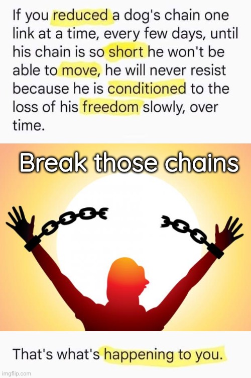 Break those chains | Break those chains | image tagged in freedom,dog | made w/ Imgflip meme maker