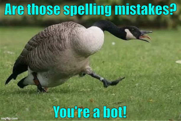Are those spelling mistakes? You're a bot! | made w/ Imgflip meme maker