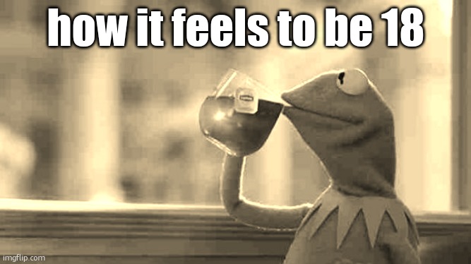 sighhhhh taxes tarifs work money stress back pain | how it feels to be 18 | image tagged in kermit sipping tea | made w/ Imgflip meme maker