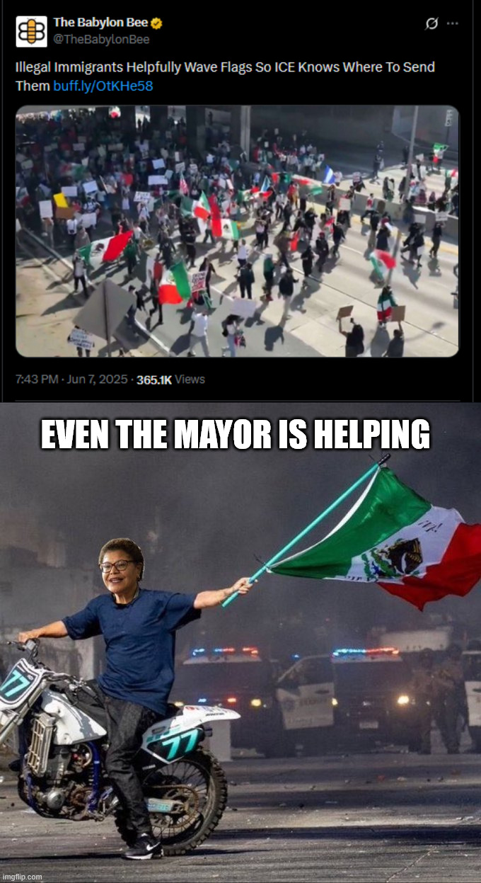 dems are against deporting violent illegal criminals | EVEN THE MAYOR IS HELPING | image tagged in the bee,right again | made w/ Imgflip meme maker