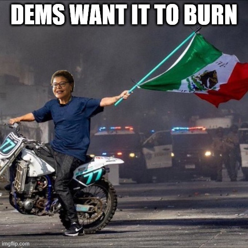 dems want LA to burn | DEMS WANT IT TO BURN | image tagged in dems,want la to burn | made w/ Imgflip meme maker