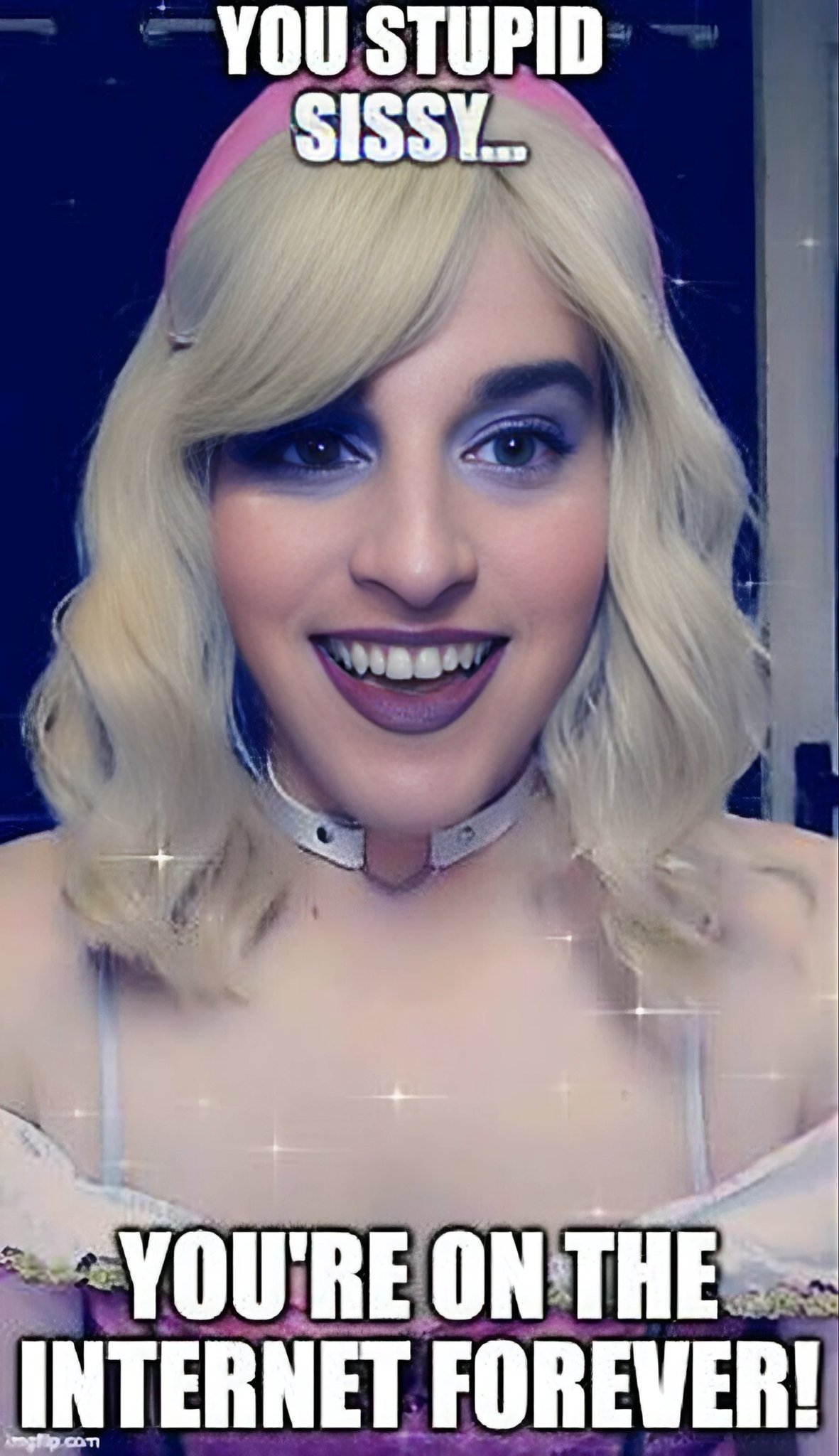 Stupid Sissy Blank Meme Template