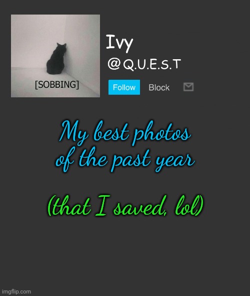Guhhh | My best photos of the past year; (that I saved, lol) | image tagged in ivy announcement template | made w/ Imgflip meme maker