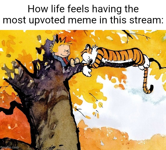 LETS MAKE IT HAPPEN | How life feels having the most upvoted meme in this stream: | image tagged in furries,upvotes,best,calvin and hobbes,memes,awesome | made w/ Imgflip meme maker