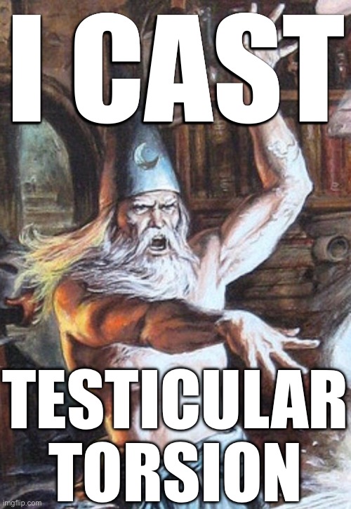 I CAST | I CAST; TESTICULAR TORSION | image tagged in i cast,msmg | made w/ Imgflip meme maker