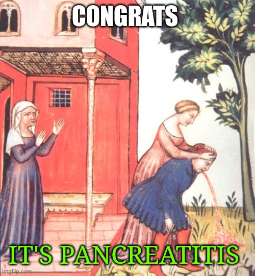 Throwing up meme | CONGRATS; IT'S PANCREATITIS | image tagged in throwing up meme | made w/ Imgflip meme maker