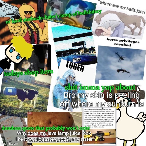temp of bullshitery | Bro my skin is peeling off where my sunburn is; Why does my lava lamp juice look like it would taste good? - my sister | image tagged in temp of bullshitery | made w/ Imgflip meme maker