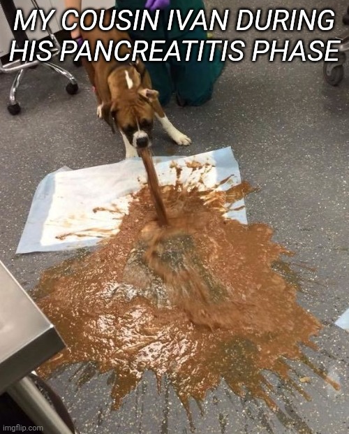 To much... Alcohol dear Ivan | MY COUSIN IVAN DURING HIS PANCREATITIS PHASE | image tagged in dog puking | made w/ Imgflip meme maker