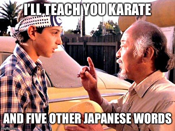 Karate Kid | I’LL TEACH YOU KARATE AND FIVE OTHER JAPANESE WORDS | image tagged in karate kid | made w/ Imgflip meme maker
