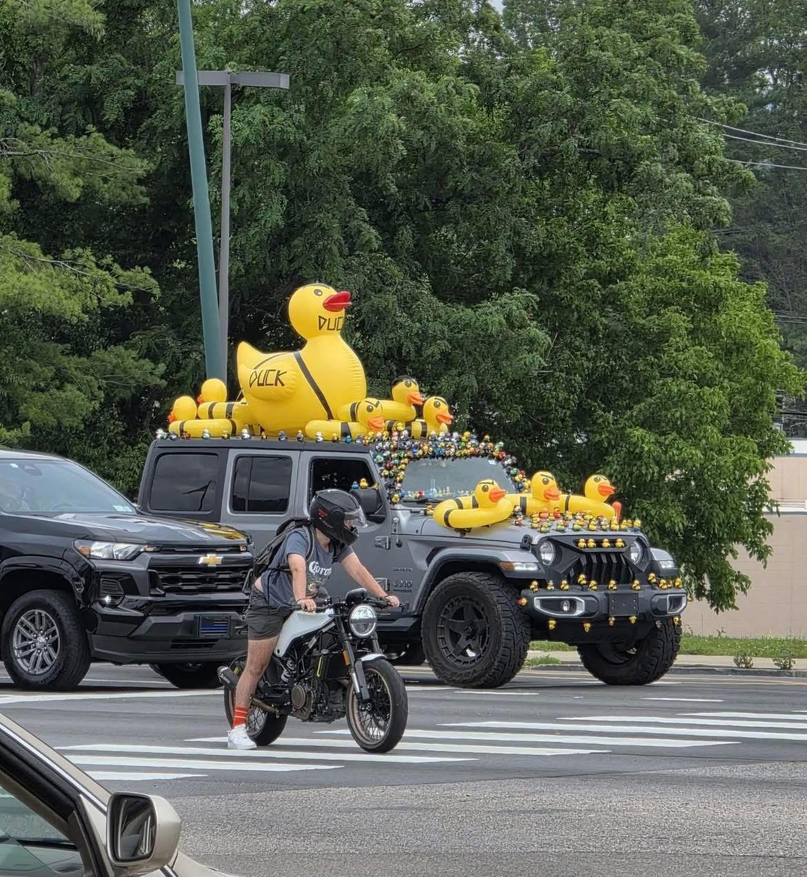 Jeep Ducks Blank Meme Template