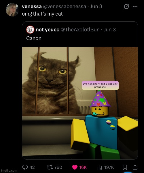 omg that’s her cat!! | made w/ Imgflip meme maker