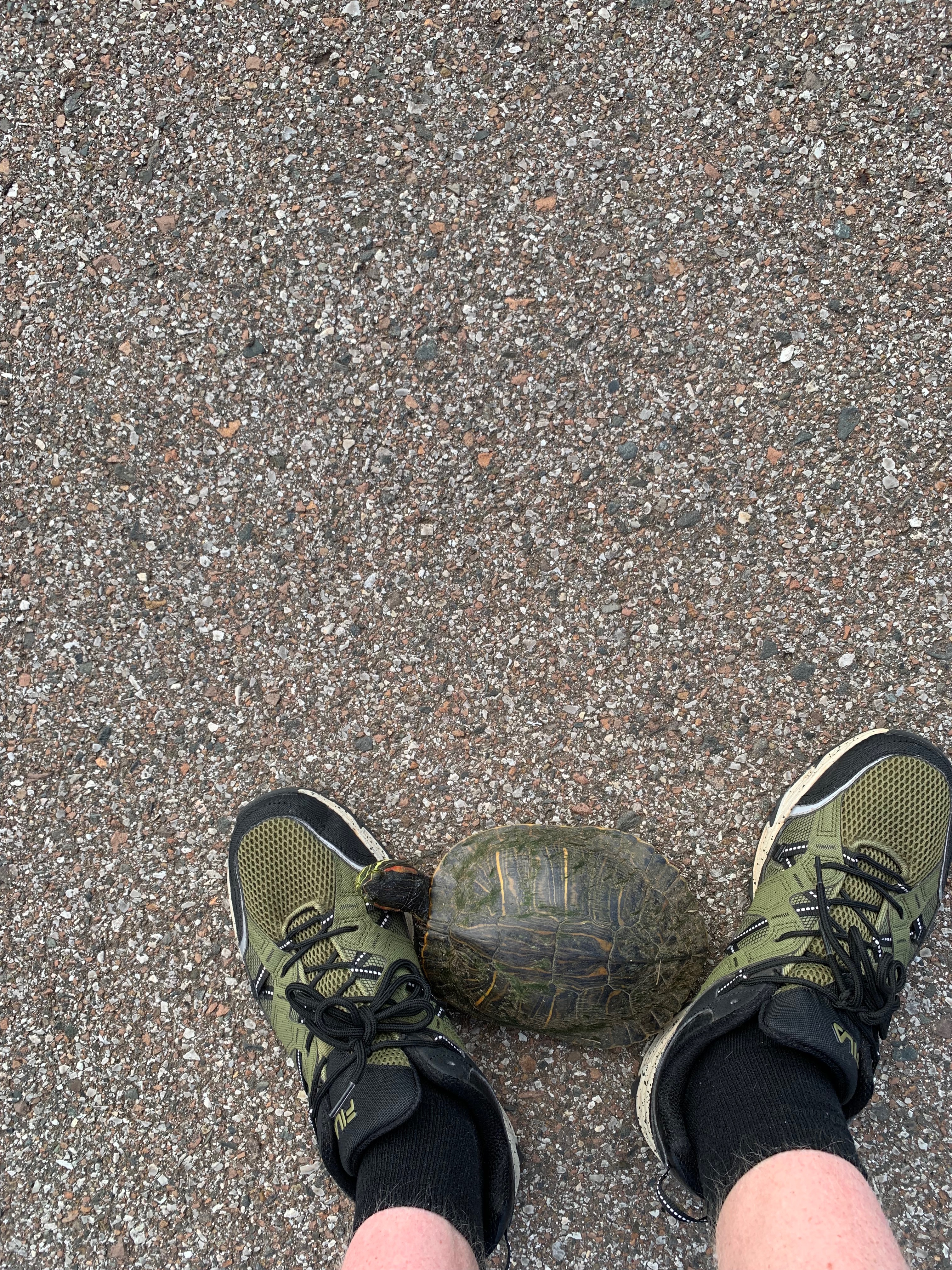 He came up and cuddled what | made w/ Imgflip meme maker