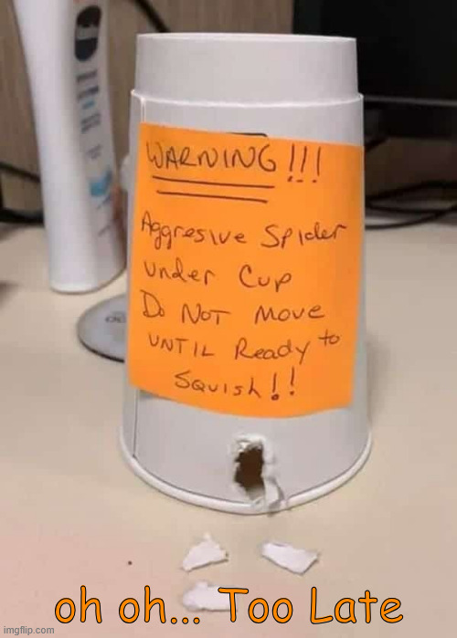 Too late... | oh oh... Too Late | image tagged in memes,aggressive,spider,too late | made w/ Imgflip meme maker