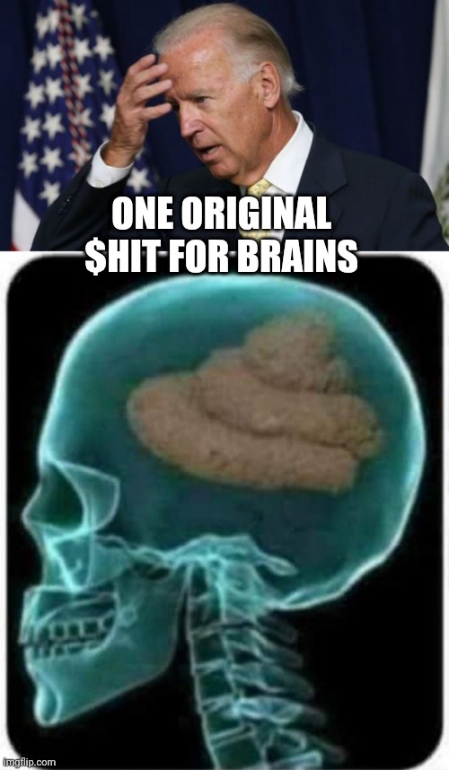 ONE ORIGINAL
$HIT FOR BRAINS | image tagged in joe biden worries | made w/ Imgflip meme maker