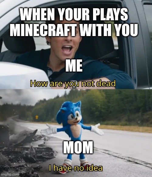 Sonic I have no idea | WHEN YOUR PLAYS MINECRAFT WITH YOU; ME; MOM | image tagged in sonic i have no idea | made w/ Imgflip meme maker