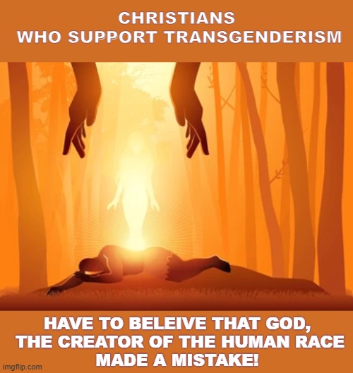 have to believe that God made a mistake | CHRISTIANS
 WHO SUPPORT TRANSGENDERISM; HAVE TO BELEIVE THAT GOD,
 THE CREATOR OF THE HUMAN RACE
MADE A MISTAKE! | made w/ Imgflip meme maker