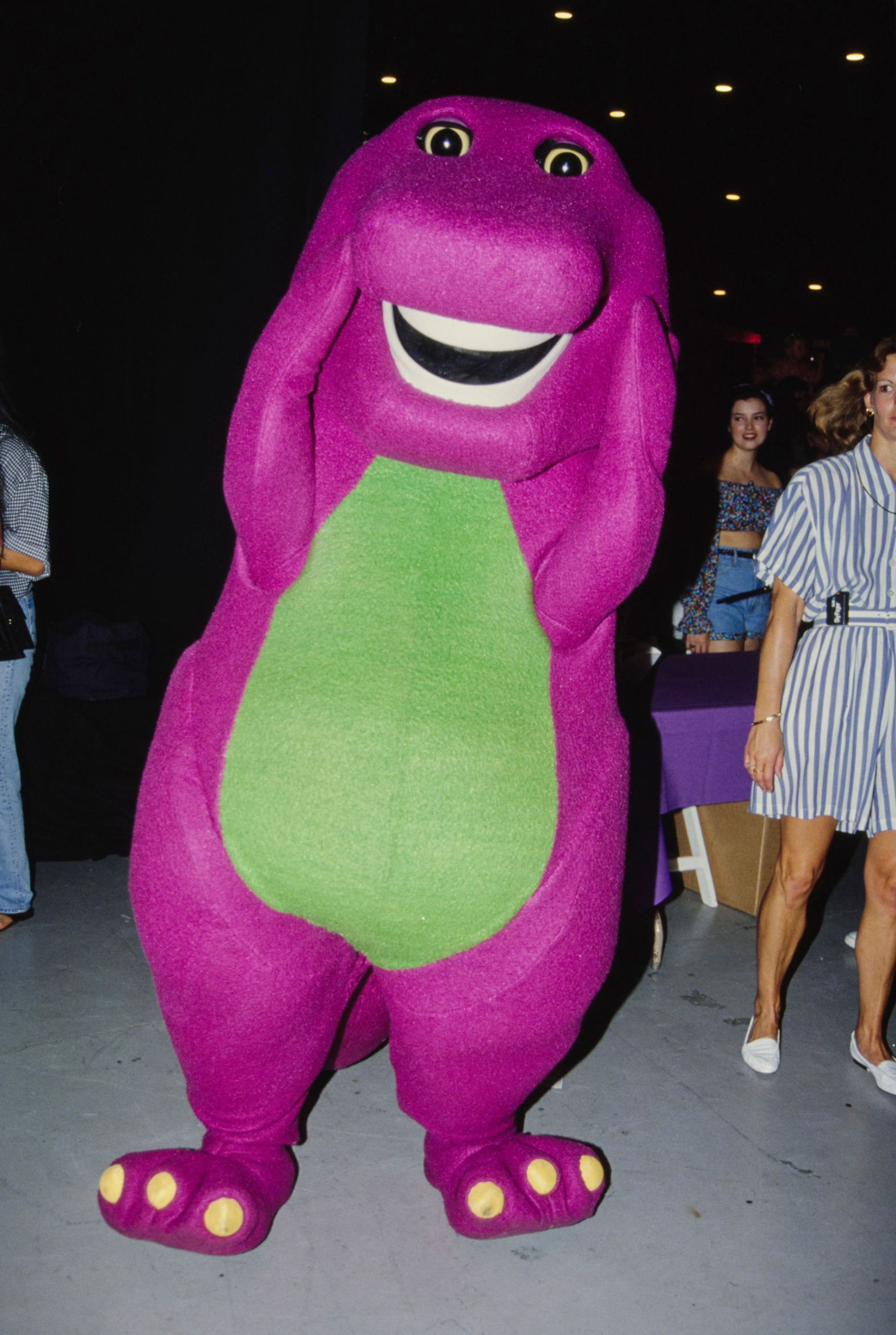 Barney dinosaur Blank Meme Template