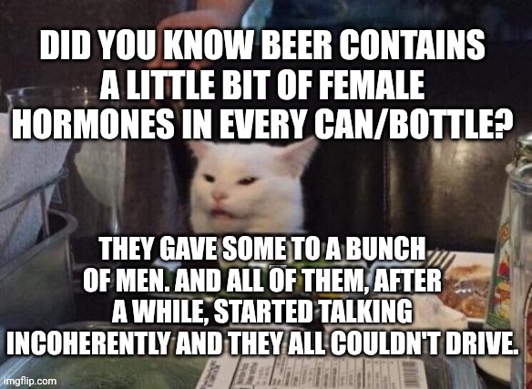 Smudge that darn cat | DID YOU KNOW BEER CONTAINS A LITTLE BIT OF FEMALE HORMONES IN EVERY CAN/BOTTLE? THEY GAVE SOME TO A BUNCH OF MEN. AND ALL OF THEM, AFTER A WHILE, STARTED TALKING INCOHERENTLY AND THEY ALL COULDN'T DRIVE. | image tagged in smudge that darn cat | made w/ Imgflip meme maker