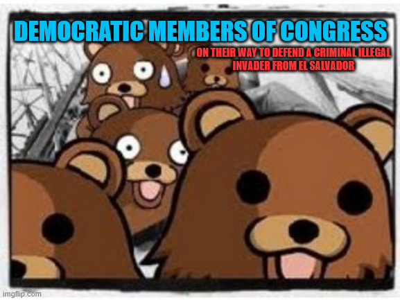 DEMOCRATIC MEMBERS OF CONGRESS; ON THEIR WAY TO DEFEND A CRIMINAL ILLEGAL
INVADER FROM EL SALVADOR | made w/ Imgflip meme maker
