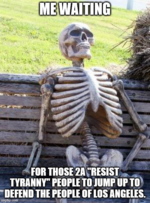 Unless they were lying this whole time? | ME WAITING; FOR THOSE 2A "RESIST TYRANNY" PEOPLE TO JUMP UP TO DEFEND THE PEOPLE OF LOS ANGELES. | image tagged in memes,waiting skeleton | made w/ Imgflip meme maker