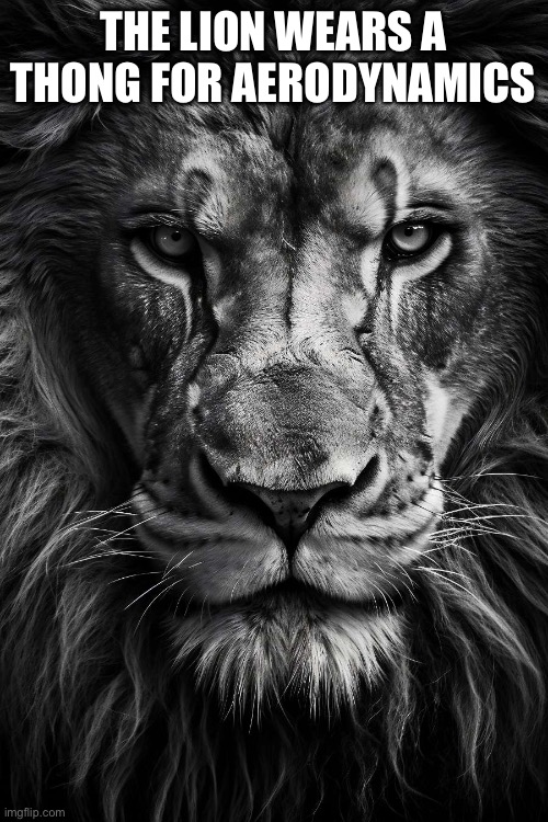 A lion doesn’t concern himseld | THE LION WEARS A THONG FOR AERODYNAMICS | image tagged in a lion doesn t concern himseld | made w/ Imgflip meme maker