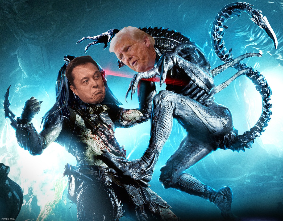 Alien vs Predator | image tagged in alien vs predator | made w/ Imgflip meme maker